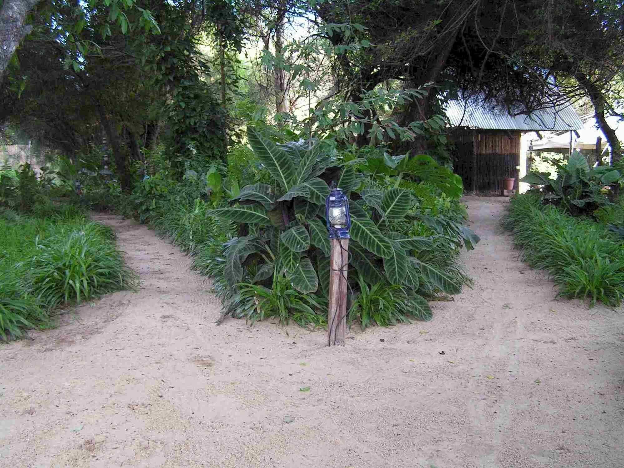 Caprivi Houseboat Safari Lodge カティマ・ムリロ エクステリア 写真